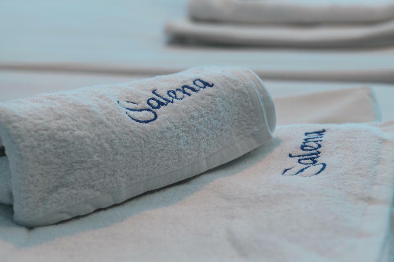 פרימורסקו Salena Beach Hotel מראה חיצוני תמונה